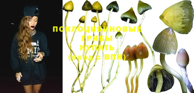 где купить наркоту  Алатырь  Галлюциногенные грибы MAGIC MUSHROOMS 